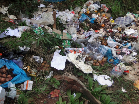 Moradores jogam lixo em área de preservação