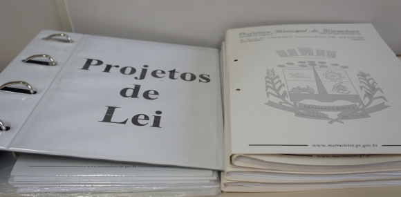 PROJETOS DE LEI DO EXECUTIVO