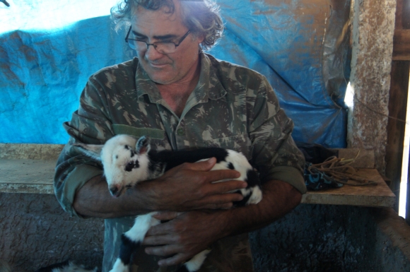 CAPRINOCULTOR DE MARMELEIRO COMEMORA A PRIMEIRA CRIA DE MINI CABRA DO SUDOESTE