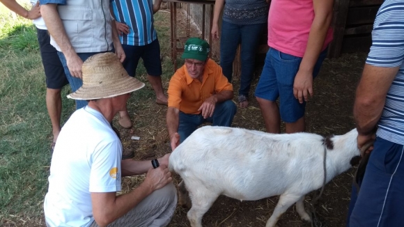 AGRICULTORES PARTICIPAM DE CURSO  DE CAPRINOCULTURA