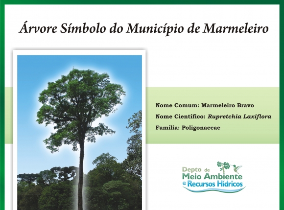 DIA DA ÁRVORE: 21 DE SETEMBRO