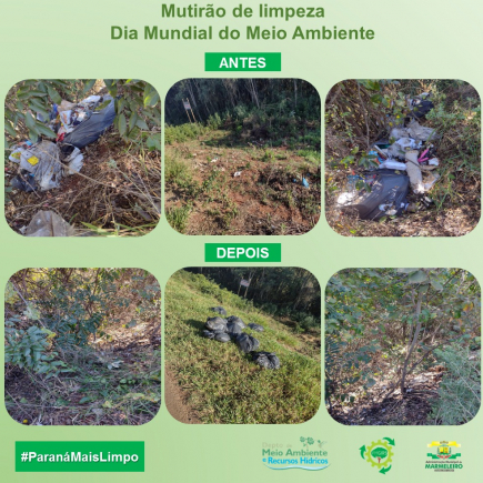 Mutirão de limpeza no dia mundial do meio ambiente