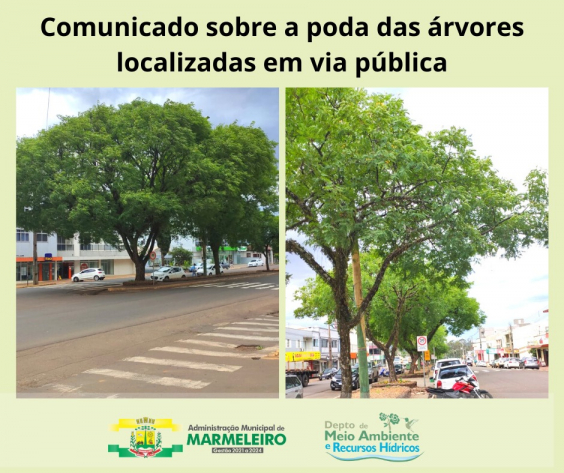 COMUNICADO SOBRE A PODA DE ÁRVORES NOS PASSEIOS E ESPAÇOS PÚBLICOS DO MUNICÍPIO