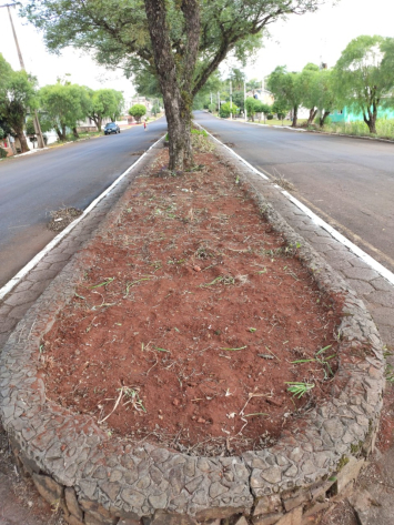 LIMPEZA DOS CANTEIROS NA AVENIDA ALVORADA