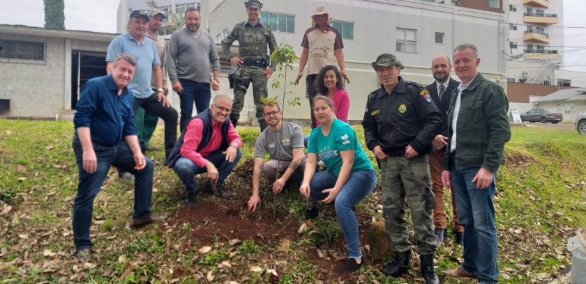 Departamento de Meio Ambiente Realiza Plantio de Árvores