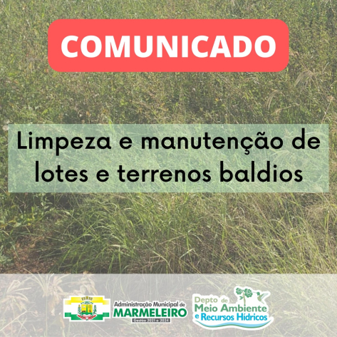 Limpeza e Manutenção de Lotes e Terrenos Baldios 