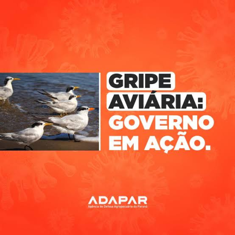 ADAPAR Alerta sobre Influenza Aviária 